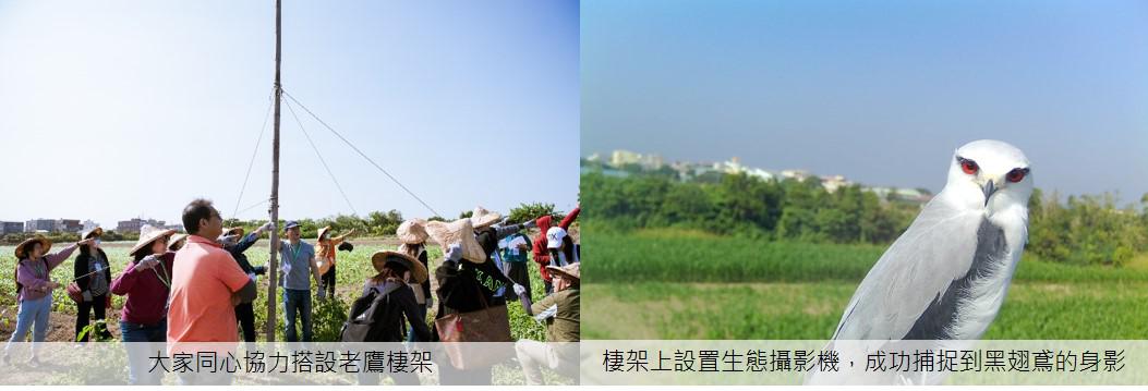 創新活動